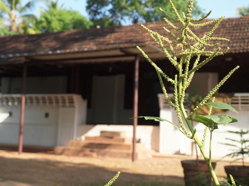 Hotel Chedi Spring Valley Athirappilly Exterior foto